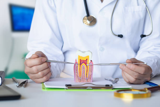 Best Walk-In Emergency Dental Services in Abingdon, VA